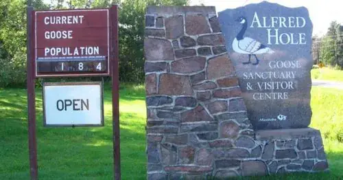 Alfred Hole Goose Sanctuary