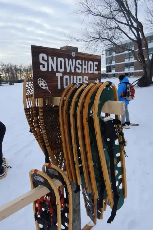 Snow shoe rack