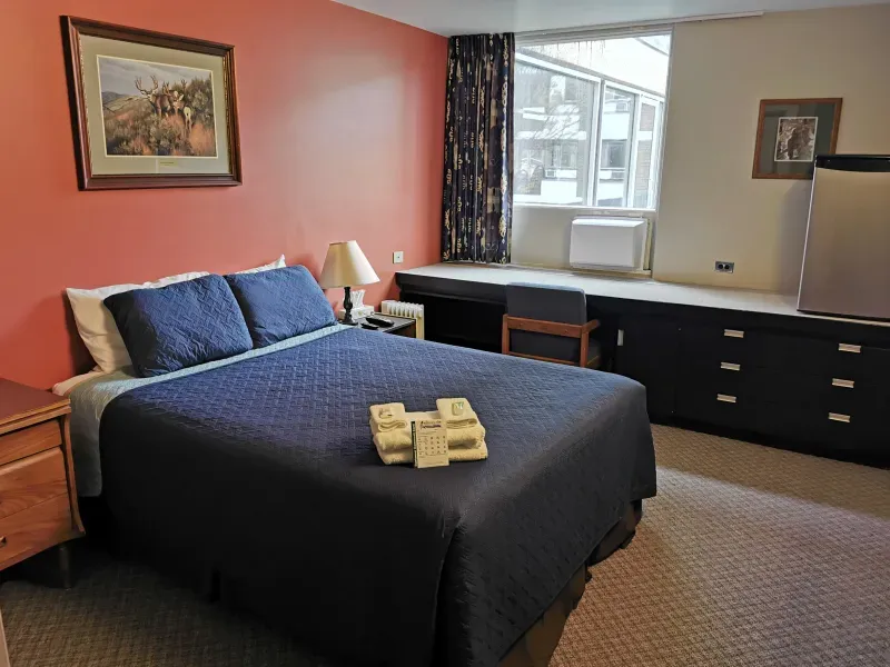 Standard 1 Queen bed