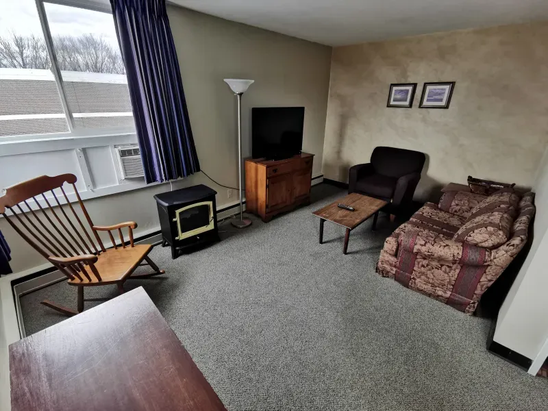 Couple's apartment living room